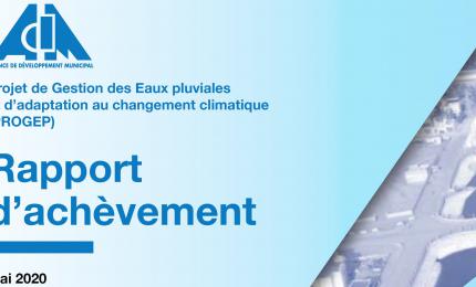 RAPPORT PROGEP 23 JUILLET 2020 - ADM